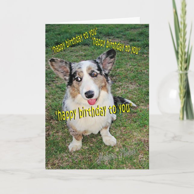 Tarjeta Sueños de la torta del perrito (Anverso)