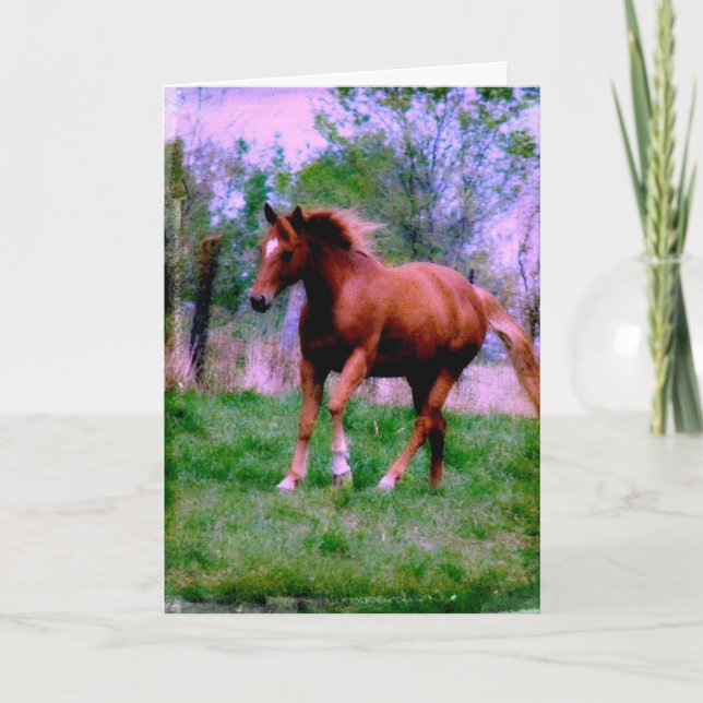 Tarjeta Sueños de primavera, trotamundos de acedera, cumpl (Anverso)
