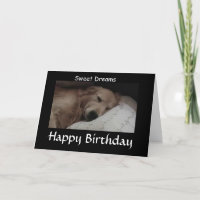 Sueños dulces de oro de Retriver