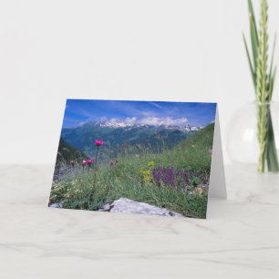 Tarjeta suiza de las montañas