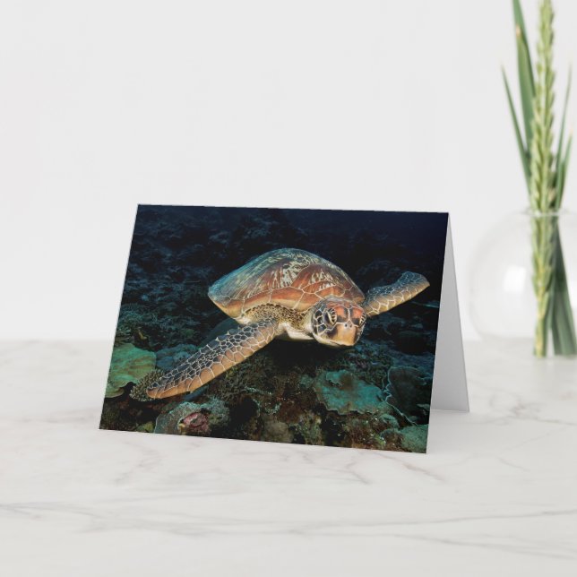 Tarjeta Sulawesi| Tortuga del Mar Verde (Anverso)
