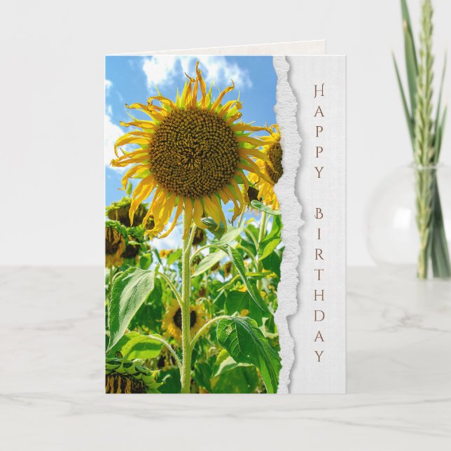 Tarjeta Summer Sunflower birthday (Anverso)