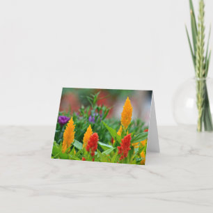 Tarjeta Sun colorea Notecard