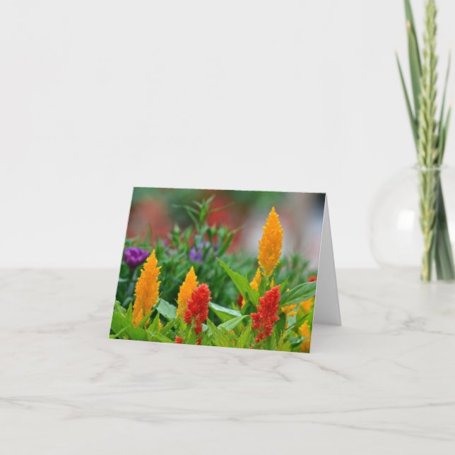 Tarjeta Sun colorea Notecard (Anverso)