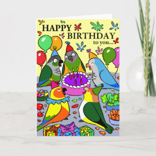 Tarjeta sun conure gcc quaker caique senegal loro feliz