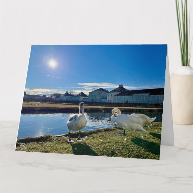 Tarjeta Sun de primavera (Anverso)