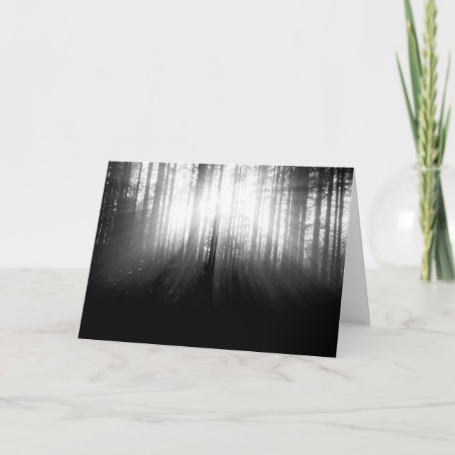 Tarjeta Sun que brilla a través de árboles en el bosque (Anverso)