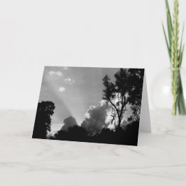 Tarjeta Sun Rays en Sunset B&W "¡Feliz cumpleaños!"