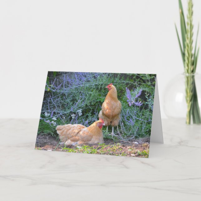 Tarjeta Sunbathing Hens Notecard (Anverso)