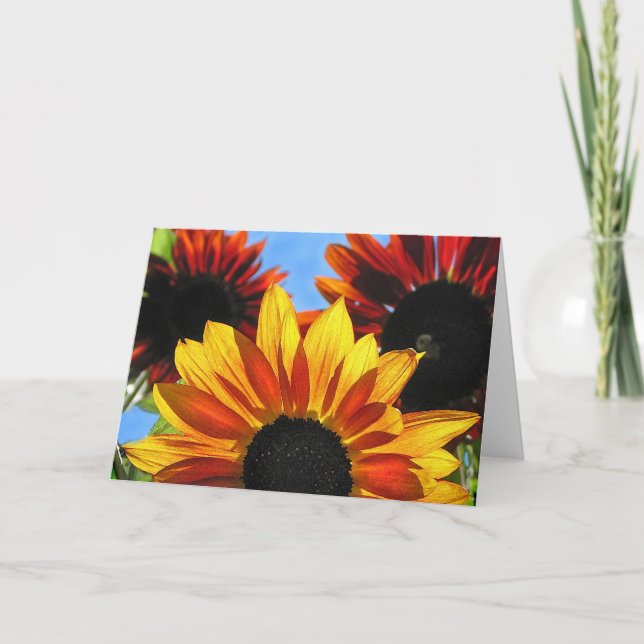 Tarjeta Sunflower (Anverso)