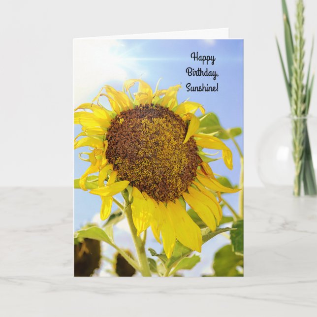 Tarjeta Sunflower Birthday Sunshine Card (Anverso)