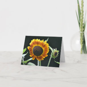Tarjeta Sunflower Notecard