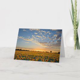 Tarjeta Sunflowers at Sunset Blank