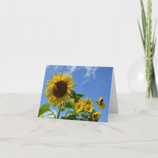 Tarjeta Sunflowers & Butterflies