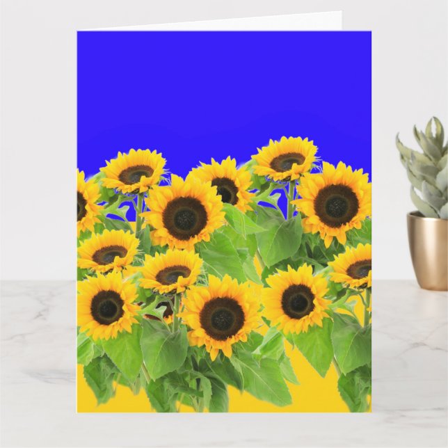 Tarjeta Sunflowers - Ucrania, bandera ucraniana, Libertad  (Planta pequeña)