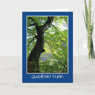 Tarjeta Sunlight Through Leaves: Get Well Card: Welsh