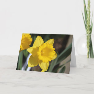 Tarjeta Sunny Daffodil