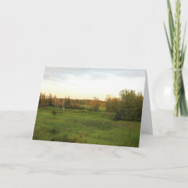 Tarjeta Sunny Meadow