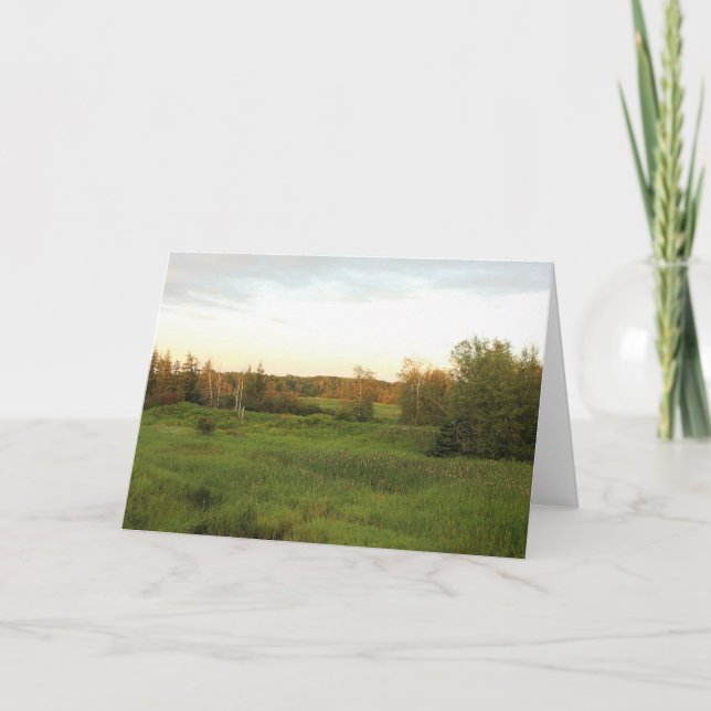 Tarjeta Sunny Meadow (Anverso)