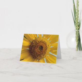 Tarjeta Sunny Sunflower - Gigante Centro Amarillo cerca
