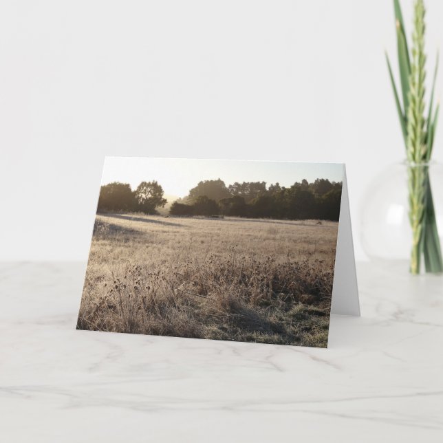 Tarjeta Sunrise at Bear Valley Trailhead Landscape (Anverso)