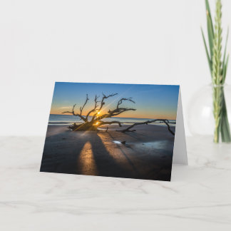 Tarjeta Sunrise Beach Scene With Driftwood - Blank