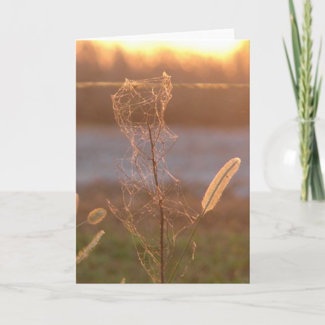 Tarjeta Sunset (Anverso)