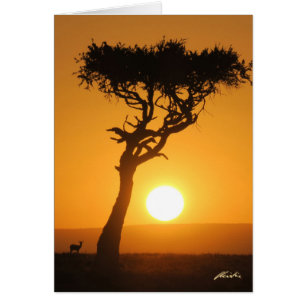 Tarjeta Sunset