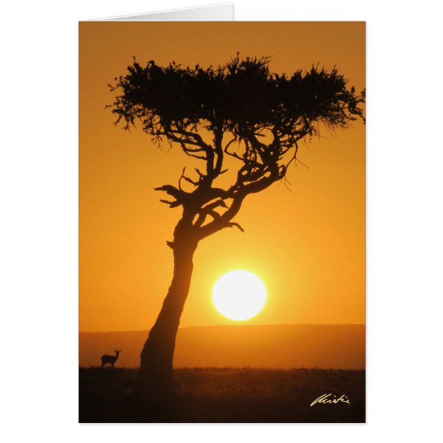 Tarjeta Sunset (Frente)