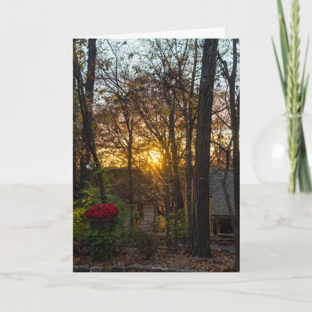 Tarjeta Sunset de Sdc Woods (Anverso)