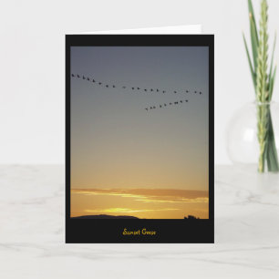Tarjeta Sunset Geese