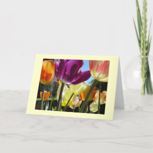 Tarjeta Sunshine