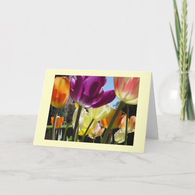 Tarjeta Sunshine (Anverso)