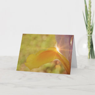 Tarjeta Sunshine and Iris Scripture Card Salm 84:11