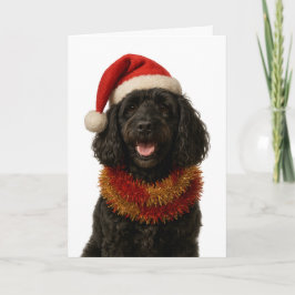 Tarjeta Super cute black Cockerpoo Christmas card