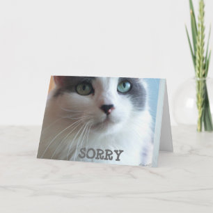 Tarjeta Superar