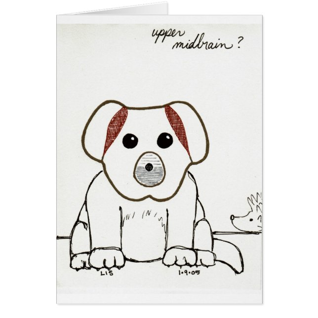 Tarjeta superior de Midbrain (Frente)