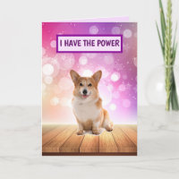 Superstar Corgi