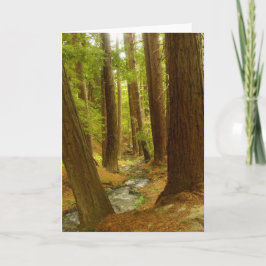 Tarjeta Sur grande, California