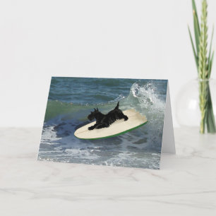 Tarjeta Surfing Scottish Terrier