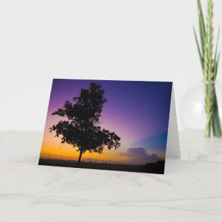 Tarjeta Surise en el campo del arquero