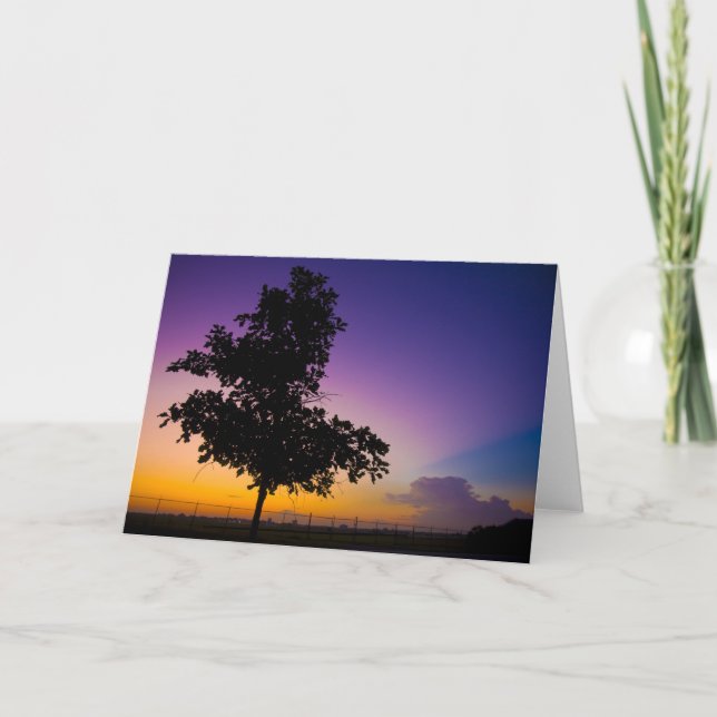 Tarjeta Surise en el campo del arquero (Anverso)