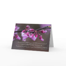 Sus compasiones nunca fallan