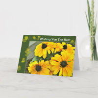 Susan Blooms Ojos Amarillos Negros