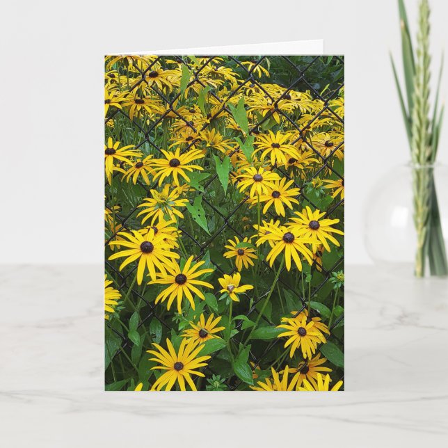 Tarjeta Susan Daisies (Anverso)