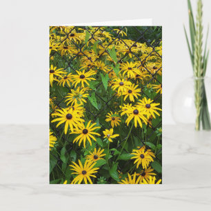 Tarjeta Susan Daisies