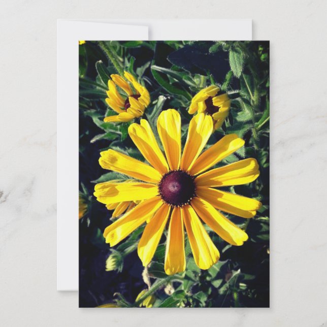 Tarjeta Susan Yellow Flower de ojos negros (Anverso)