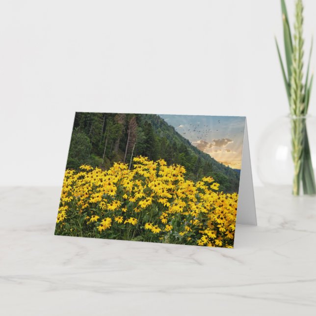 Tarjeta Susans de ojos negros en montañas (Anverso)