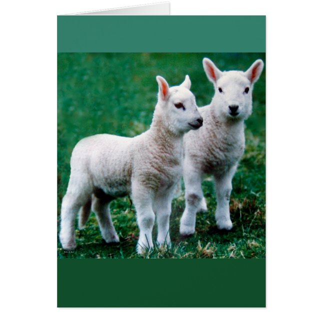 Tarjeta Sven & Ole (Frente)