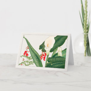 Tarjeta Swainsona galegifolia, Calla lily, Tanigami Konan